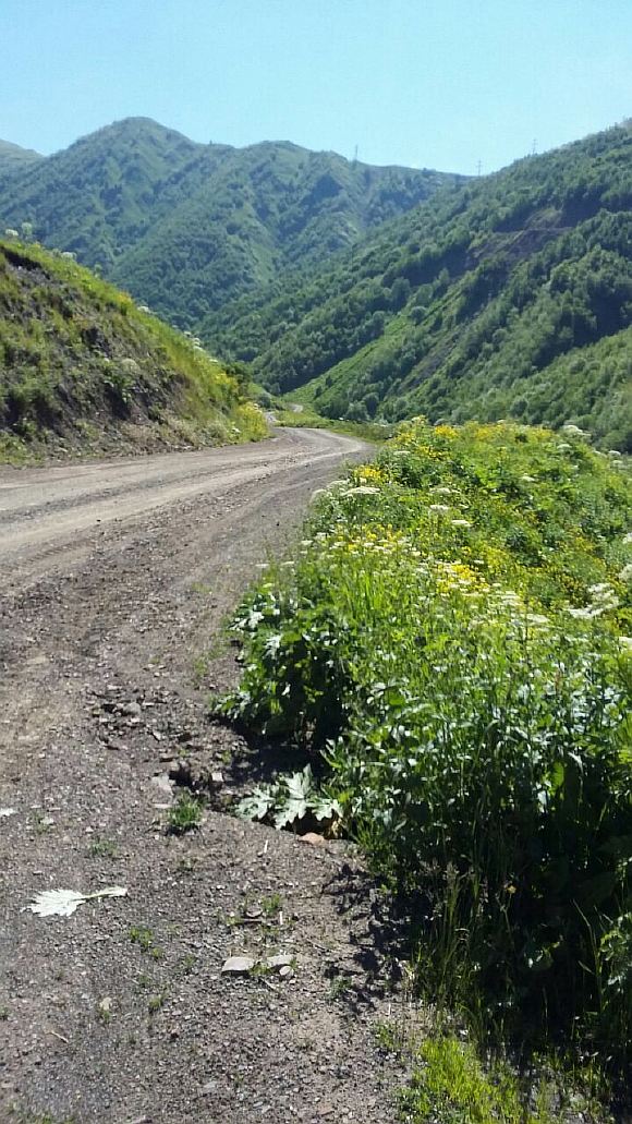 Не забудьте