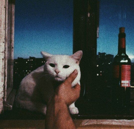 Все мы живём по каким-то правилам