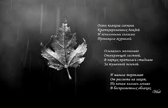 Осень плакала слезами