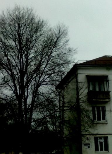 Осенние мечты