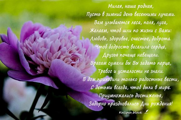 Милая,наша родная