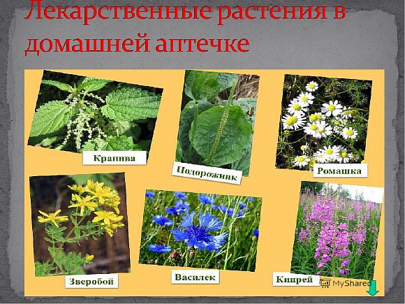 Всем нам жизнь даёт