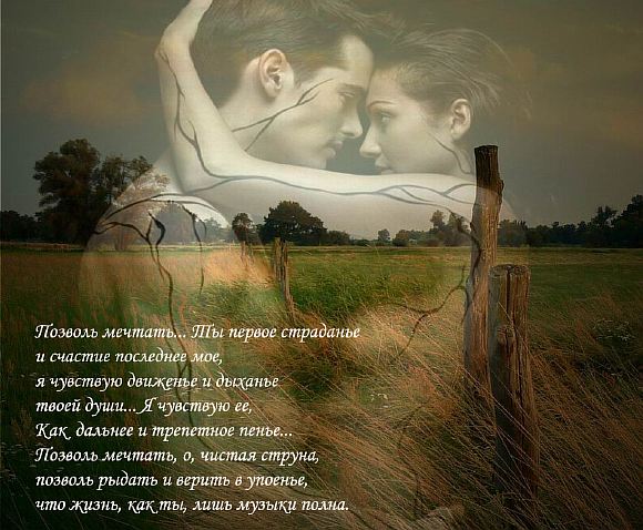 МОИ СТИХИ, МЕЧТАЛ, ДОЛЖНЫ ЗВУЧАТЬ...