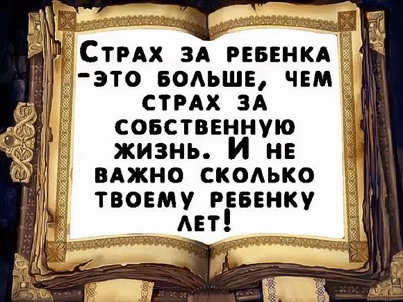 Любил гулять я по ночам 