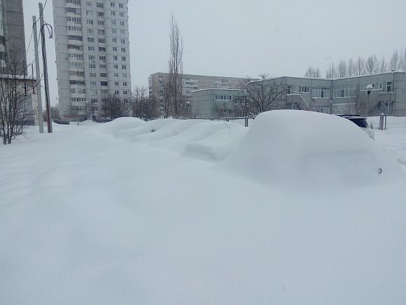На злобу дня.