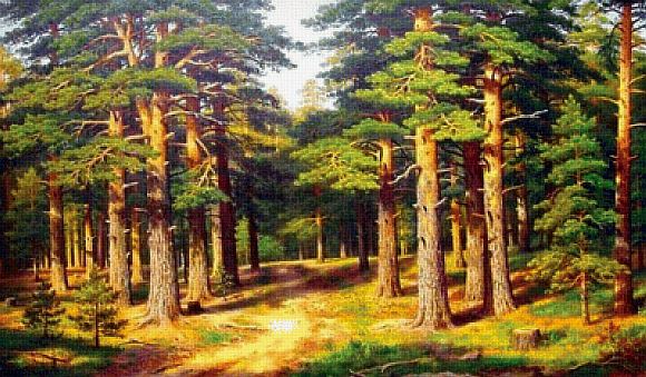 ПРОГУЛКА