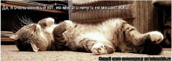  Ленивый Кот