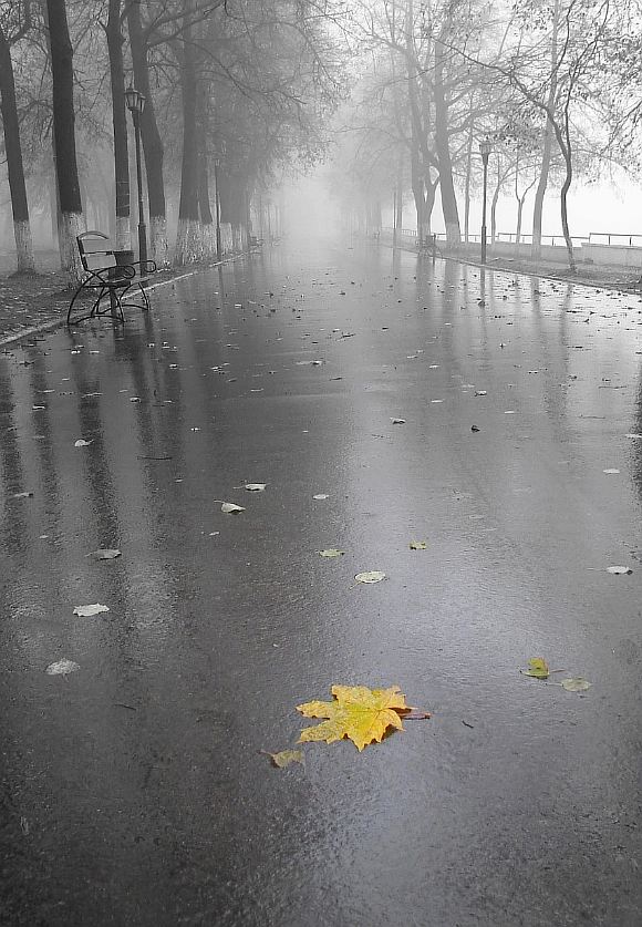 Когда-нибудь и я уйду...