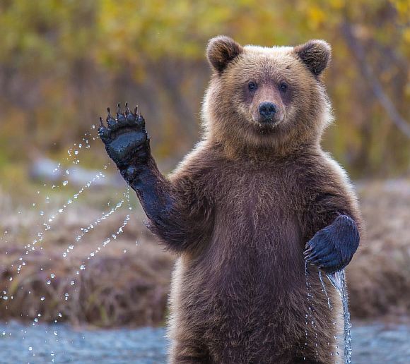 Привет!