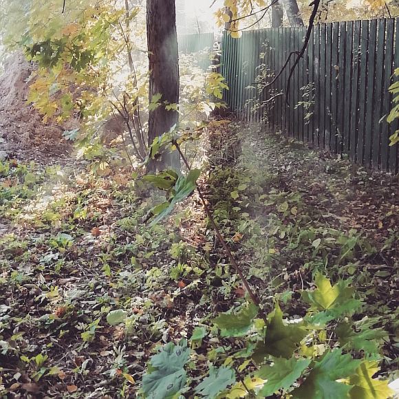  Вздох осени в уныние и печали 