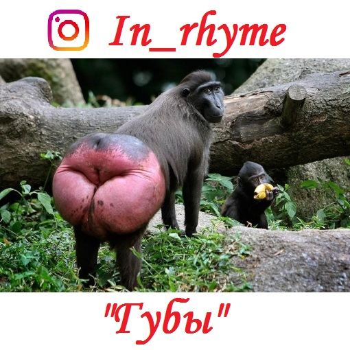 Губы (life_in_rhyme)