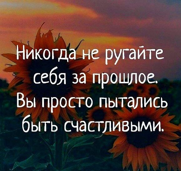 Не вини!