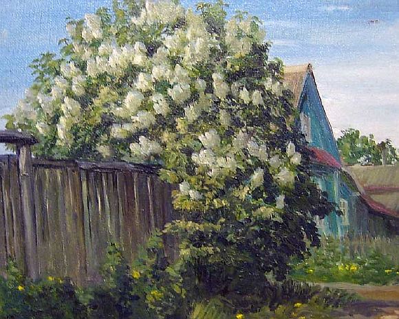 Куст сирени.