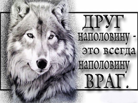 ВРАГ?