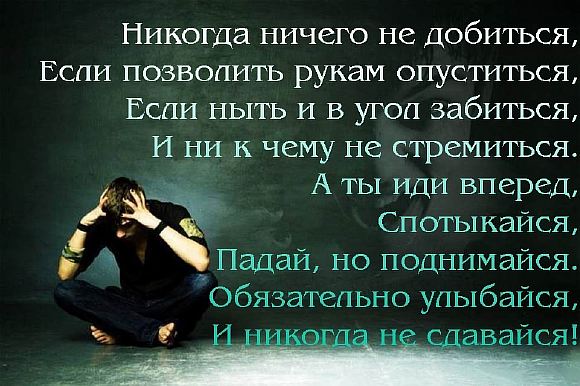 Картина жизни