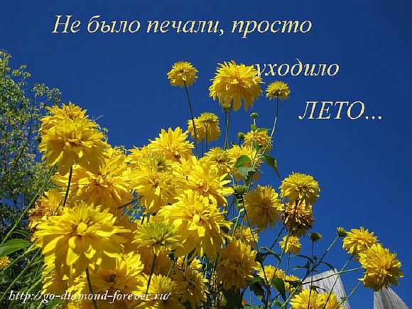 Август седой