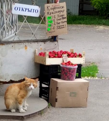 Ах, madame!..