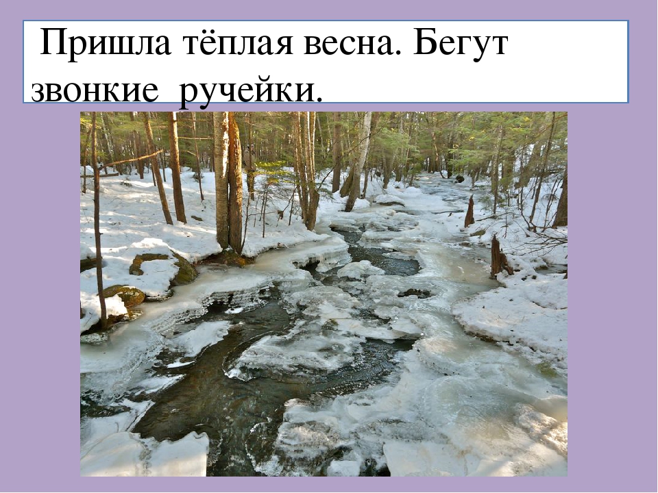 Ручей обручает с весной