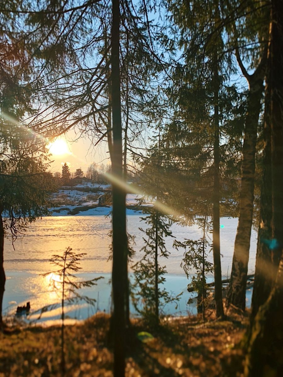 Прекрасная Дама 