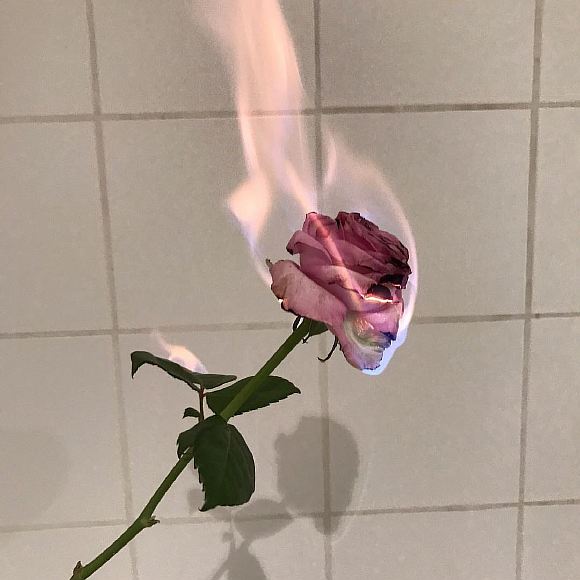 Жизнь моя!
