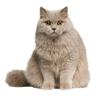 Подарок