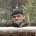 Самый северный ветер!