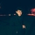 Данила Сидоров